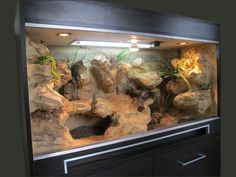 an aquarium with rocks and plants in it