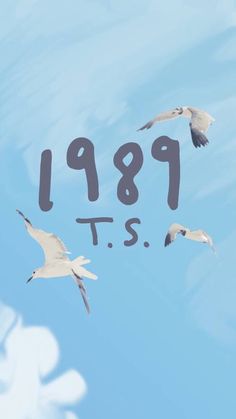 three seagulls flying in the blue sky with numbers on their backs and letters below them