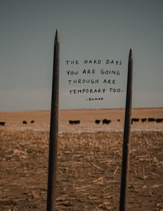 there are two poles in the middle of a field with cows behind them and a quote written on one pole