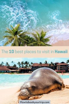 the 10 best places to visit in hawaii