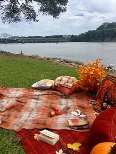 a blanket and pillows on the grass near water