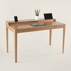 a wooden desk with a laptop on it and a potted plant in the middle