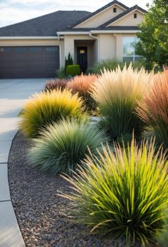 colorful plants in front of a house