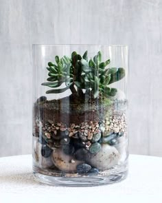 a glass vase filled with plants and rocks