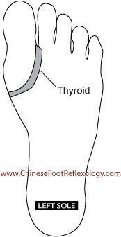 Boost Adrenal And Thyroid Energy Using 3 Reflexology Points Reflexology Points, Hashimotos Disease, Thyroid Issues, Foot Reflexology, Thyroid Health, Adrenal Fatigue, Alternative Health, Reflexology