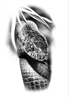 a black and white photo of a snake