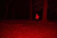 a person standing in the middle of a forest at night with red light shining on them