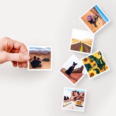 a hand is holding up several polaroid photos in front of a white background with sunflowers