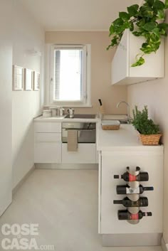 a kitchen filled with lots of bottles of wine