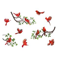 four red birds sitting on top of a tree branch