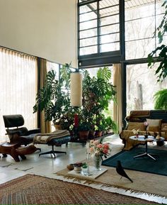 a living room filled with furniture and lots of plants