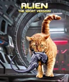 an orange tabby cat walking on top of a computer keyboard with the caption alien the short version