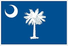 the flag of south carolina with a crescent and palm tree in the foreground, on a dark blue background