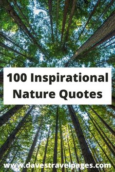 trees with the words, 100 inspirational nature quotes