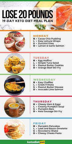 Easy Lettuce Wraps, Keto Quiche, 1000 Calorie, Creamy Pumpkin Soup, Motivasi Diet, Easy Keto Meal Plan, Keto Lasagna, Breakfast Low Carb, Baking Powder Uses