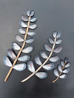 three blue leaves are placed next to each other on a black surface with water in the background