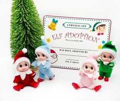 three elf dolls standing in front of a christmas tree with a gift certificate behind them