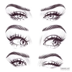 the different types of eyes with long lashes