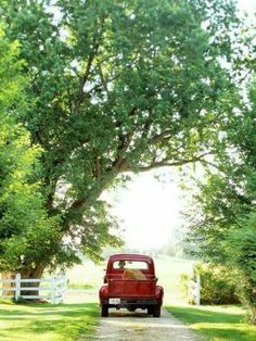 an old red truck parked on the side of a dirt road under a large tree