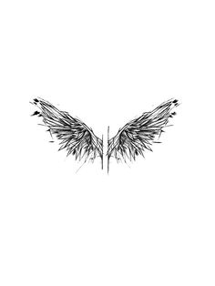 a drawing of an angel wing on a white background