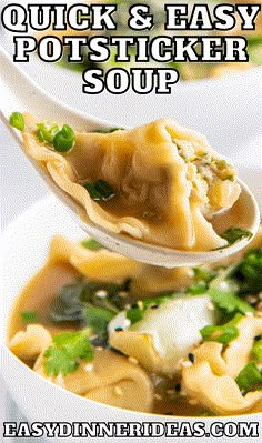 a close up of a spoon full of soup with the words quick and easy pot sticker soup