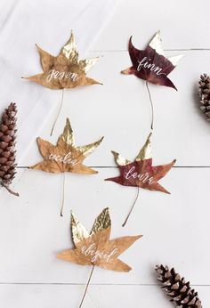 autumn leaves and pine cones are arranged on a white surface with the word love spelled in gold