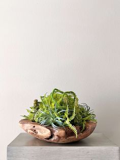 a wooden bowl filled with green plants on top of a white table next to a wall