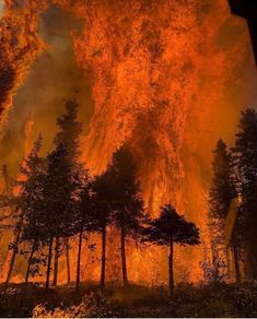 Wildland Fire, Wildland Firefighter, California Wildfires, Fire Image, Wild Fire, New Gods, Beautiful Dark Art, Forest Fire