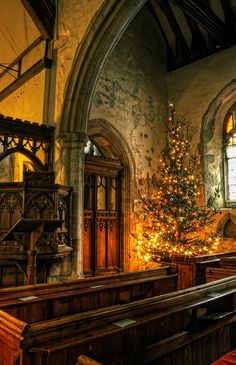 a black and white photo of a church with a christmas tree in the middle of it