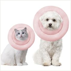 Cat Cone Soft Dog Cone Collar After Surgery, Protective Cone for Dogs and Cats, Water Cat House Diy, Dog Muzzle