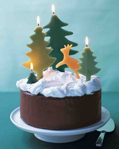 a chocolate cake with white frosting and lit candles on top, decorated with trees