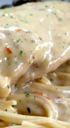 closeup of pasta with chicken and cheese sauce