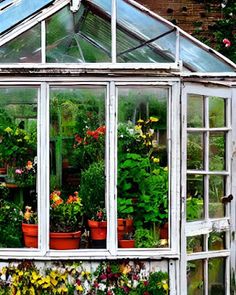 an old greenhouse with potted plants inside