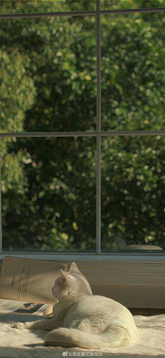 a white cat laying on top of a bed next to a window with trees in the background