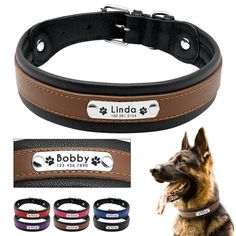 an image of a dog collar and leash with its name engraved on the leather strap