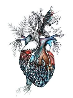 a drawing of the human heart with branches and leaves on it's sides, as well as two birds