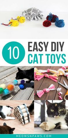 10 easy diy cat toys that are great for cats to play with in the house