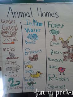 a white board with writing on it that says animal homes and animals in the water