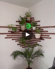 a living room with potted plants on the wall and a video screen showing how to use them