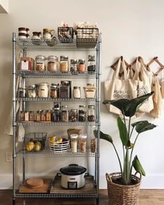 a metal shelving unit with spices and other items on it next to a potted plant