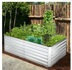 a raised garden bed with vegetables growing in it