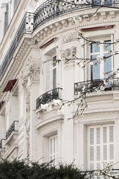 an apartment building with balconies and flowers in the foreground