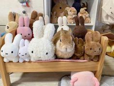 stuffed animals are lined up on a wooden bench in front of other stuffed animal toys