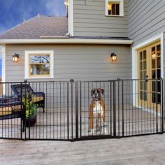 a dog standing behind a fence in front of a house