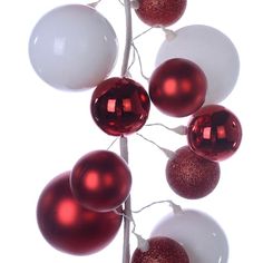 red and white ornaments are hanging from a branch with no leaves on it, against a white background