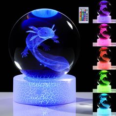 an illuminated lizard in a glass ball with different colors and shapes on it's base