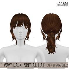 the back ponytail hair is shown in three different styles and colors, including dark brown