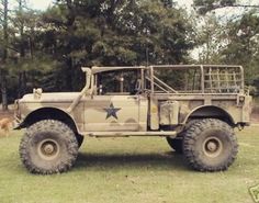 an army truck parked in the middle of a field with trees behind it and a dog on the other side