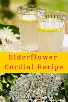 elderflower cordial recipe in two glasses with lemon wedges on the side and flowers behind