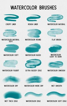 the different shades of watercolor brushes are shown in this chart, which shows how to use